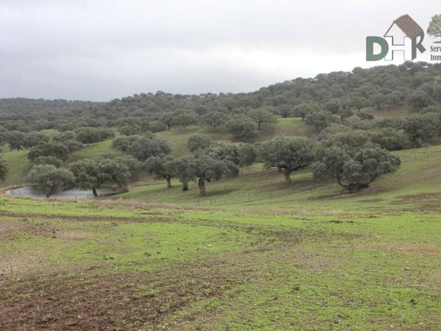 Terreno en Venta en Cáceres