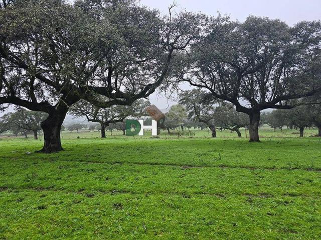 Terreno en Venta en Cáceres