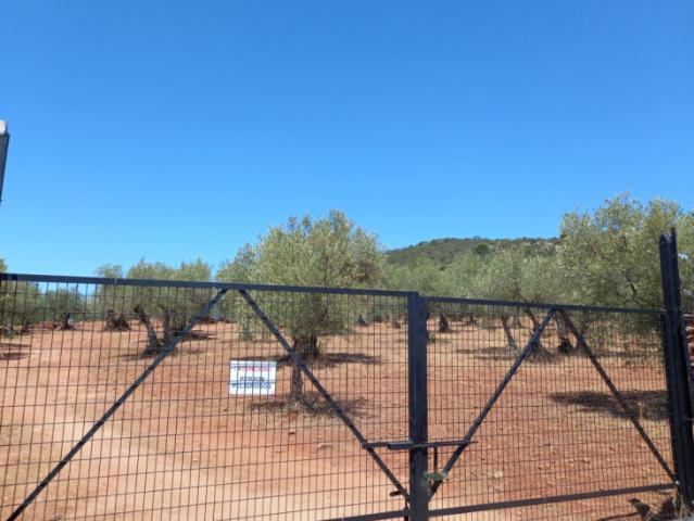 Terreno en venta en Cáceres, CARRETERA DE MIAJADAS