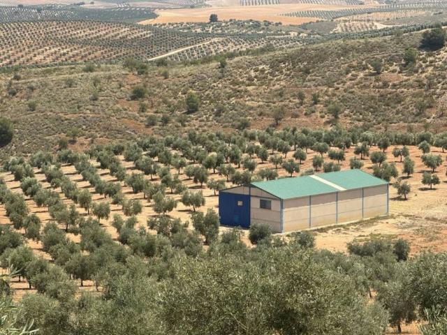 Terreno en Venta en Cacín