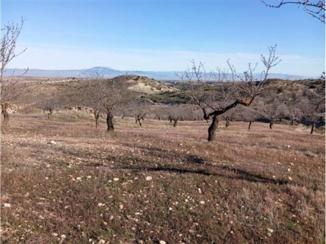Terreno en Venta en Cacín