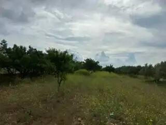 Terreno en Venta en Cabanes Castellón Castelló