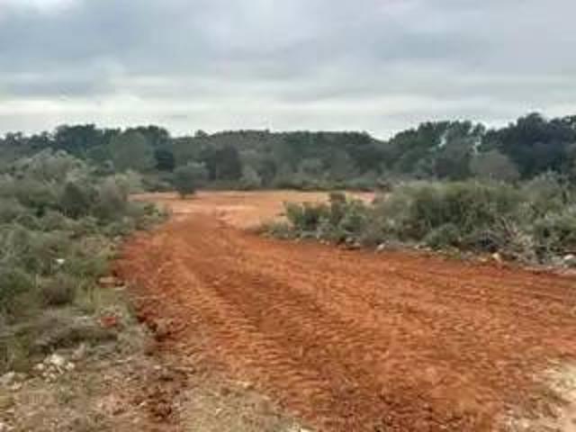 Terreno en Venta en Cabanes Castellón Castelló