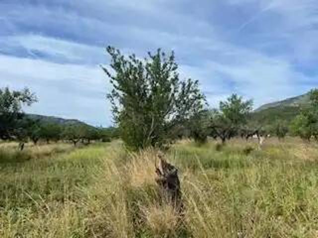 Terreno en Venta en Cabanes Castellón Castelló