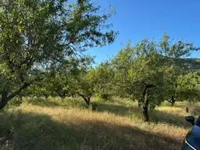 Terreno en Venta en Cabanes Castellón Castelló
