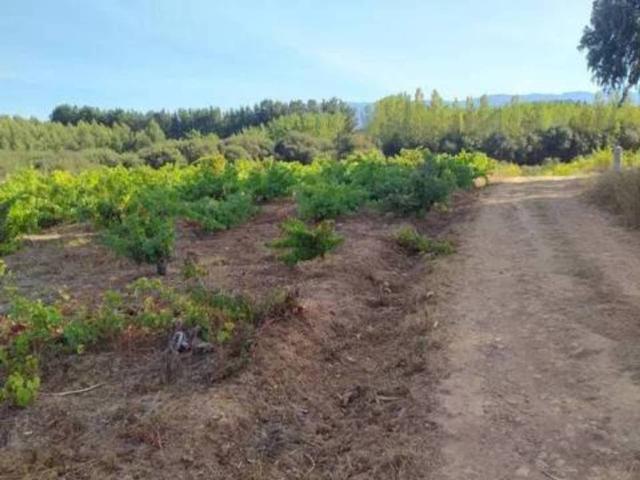 Terreno en Venta en Cabañas Raras
