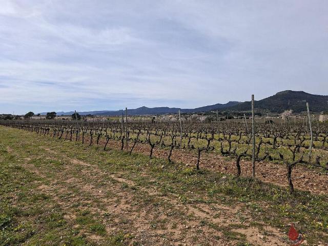 Terreno en venta en Cabra del Camp, de 34.682 m² por 60.000