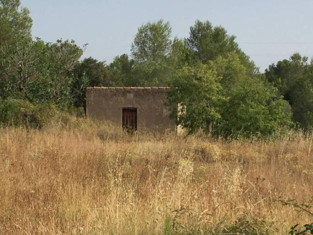 Terreno en Venta en Cabra del Camp