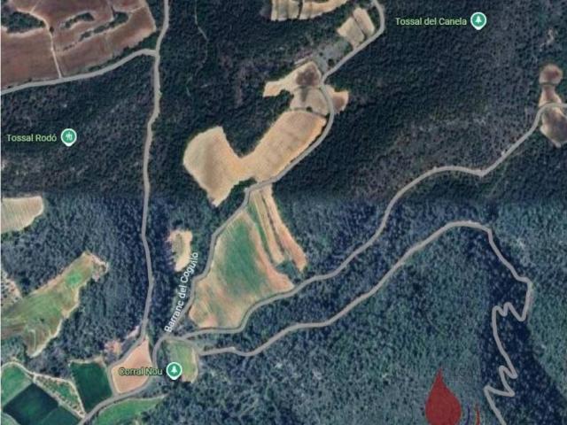 Terreno en Venta en Cabra del Camp