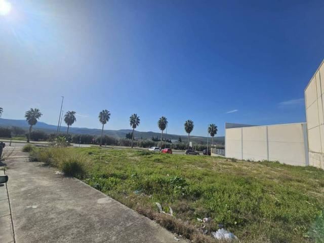 Terreno en Venta en Cabra