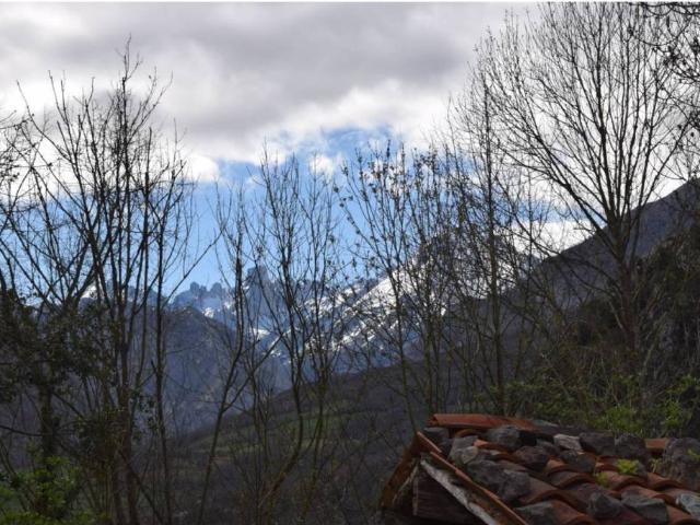 Terreno en Venta en Cabrales