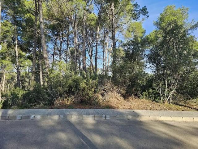 Terreno en Venta en Cabrera d'Anoia