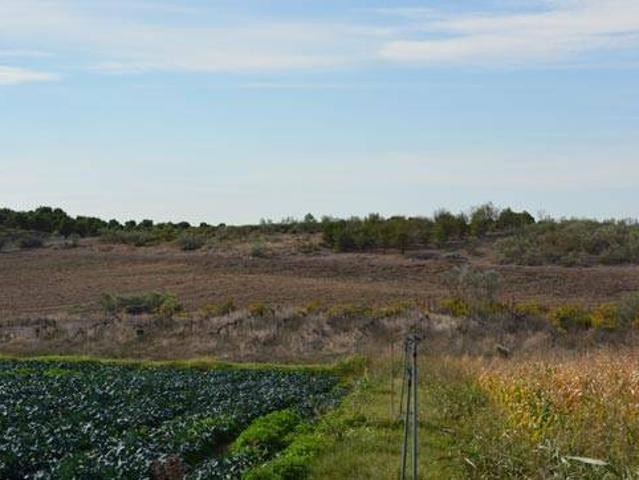 Terreno en Venta en Cadreita