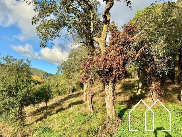 Terreno en Venta en Calonge