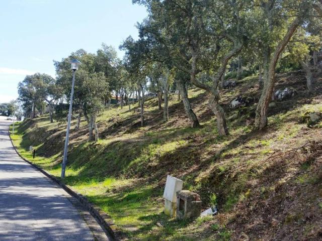 Terreno en Venta en Calonge