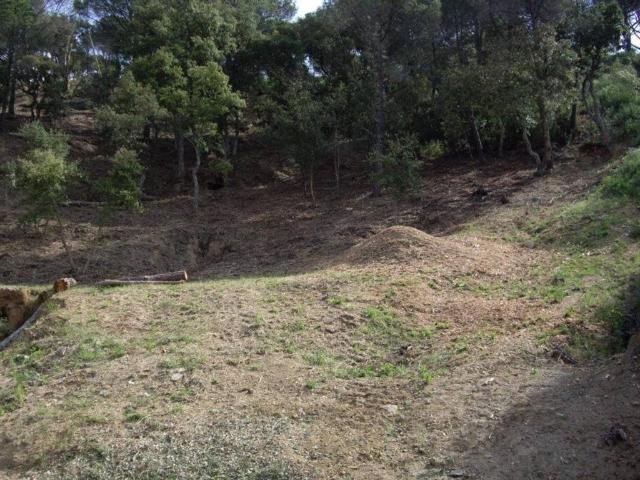 Terreno en Venta en Calonge