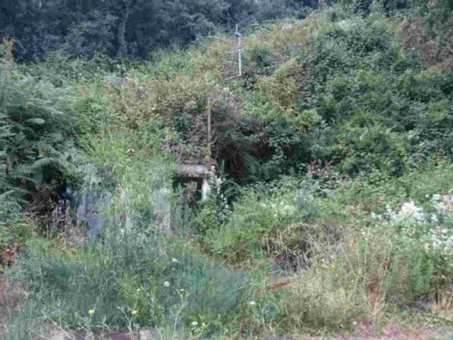 Terreno en Venta en Calonge