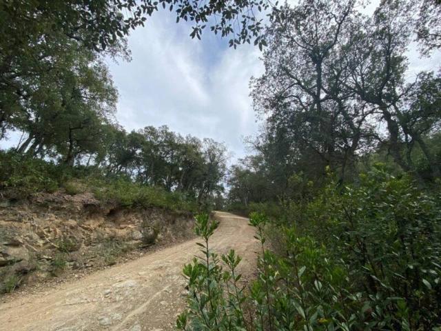 Terreno en Venta en Calonge