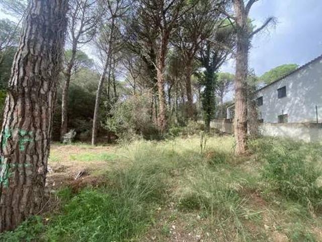 Terreno en Venta en Calonge