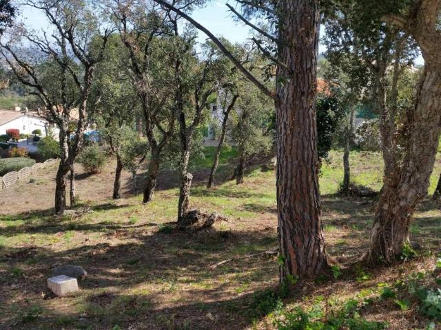 Terreno en Venta en Calonge