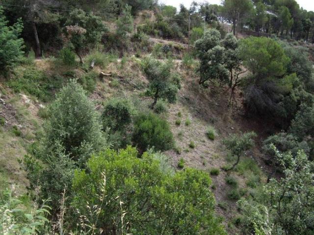 Terreno en Venta en Calonge