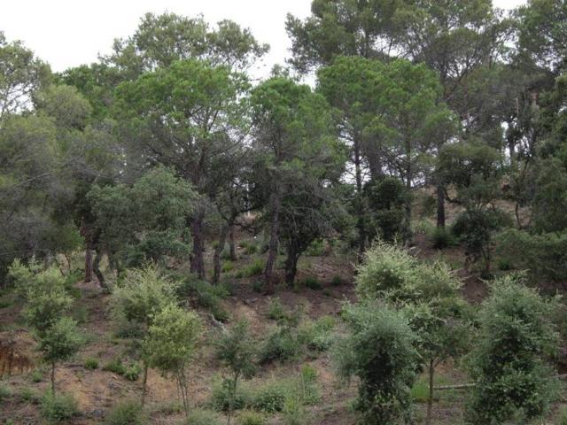 Terreno en Venta en Calonge