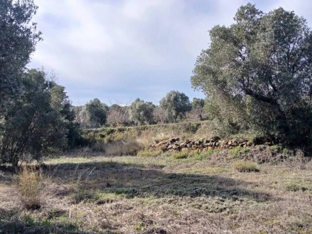 Terreno en Venta en Calaceite