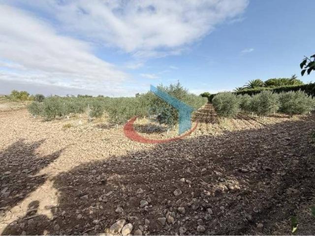 Terreno en Venta en Calahorra