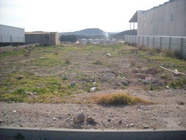 Terreno en venta en Calasparra