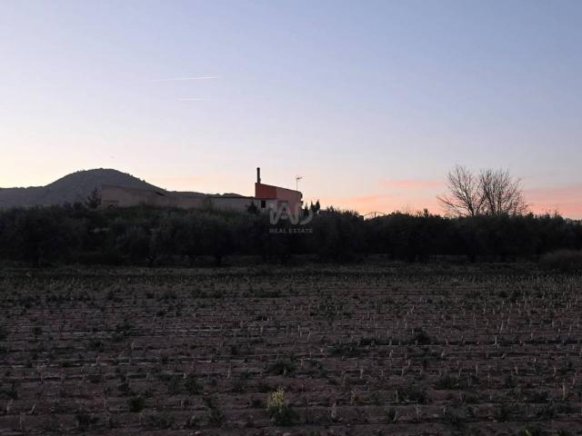 Terreno en Venta en Calasparra