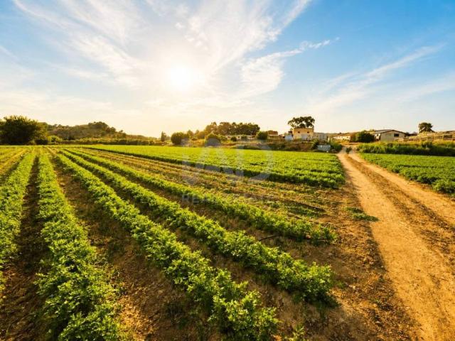 Terreno en Venta en Calasparra