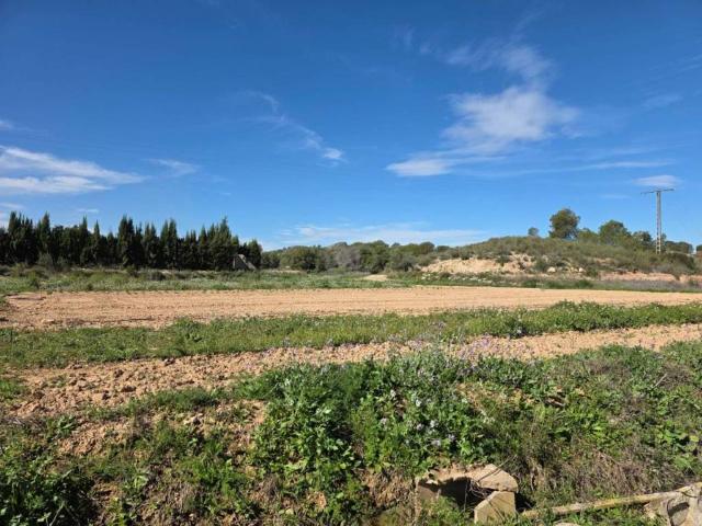 Terreno en Venta en Calasparra