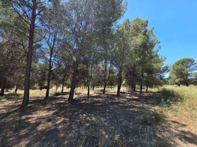 Terreno en Venta en Calasparra