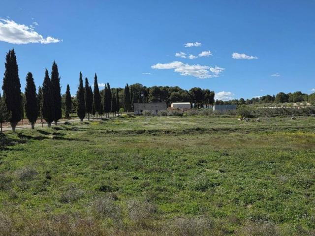 Terreno en Venta en Calasparra