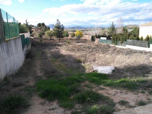 Terreno en venta en Calasparra, Urbanización coto riñales