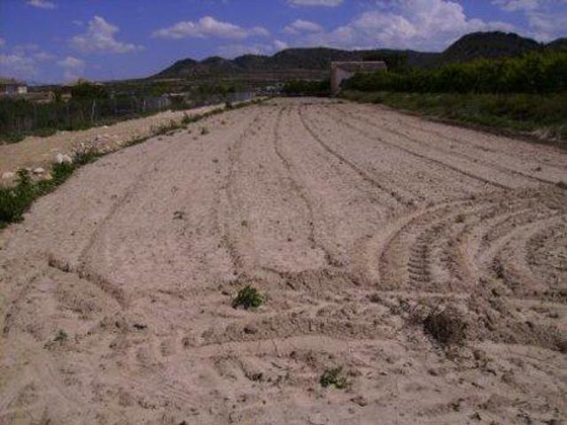 Terreno en venta en Calasparra, Valentín