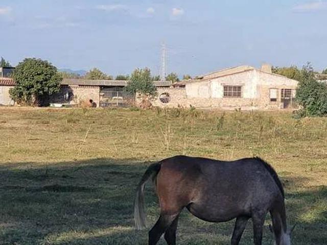 Terreno en Venta en Calera y Chozas