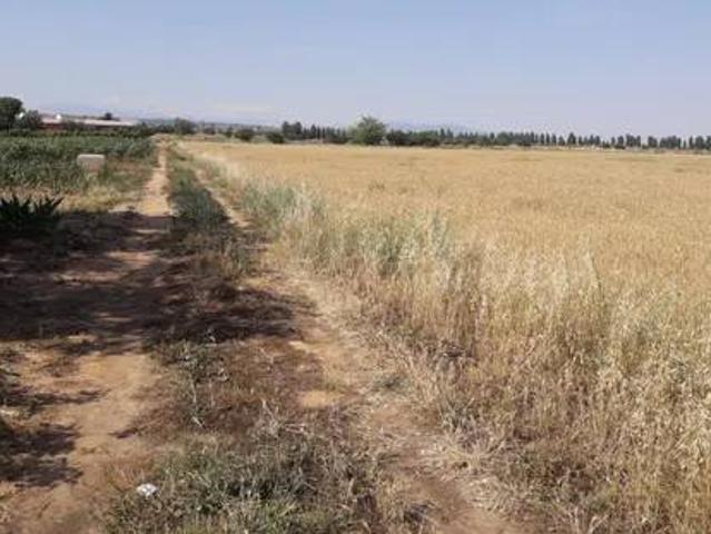 Terreno en Venta en Calera y Chozas