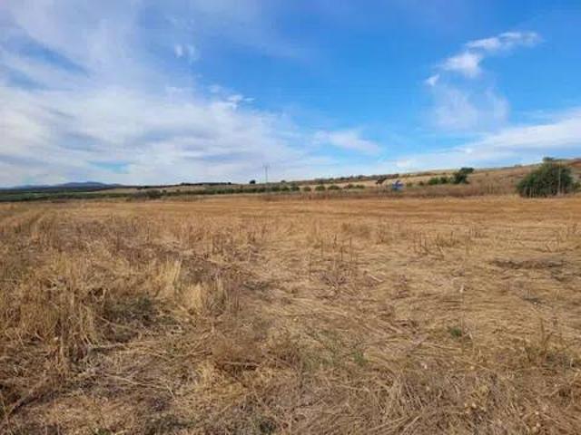 Terreno en Venta en Calera y Chozas