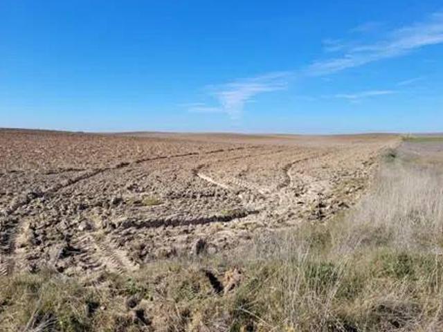 Terreno en Venta en Calera y Chozas