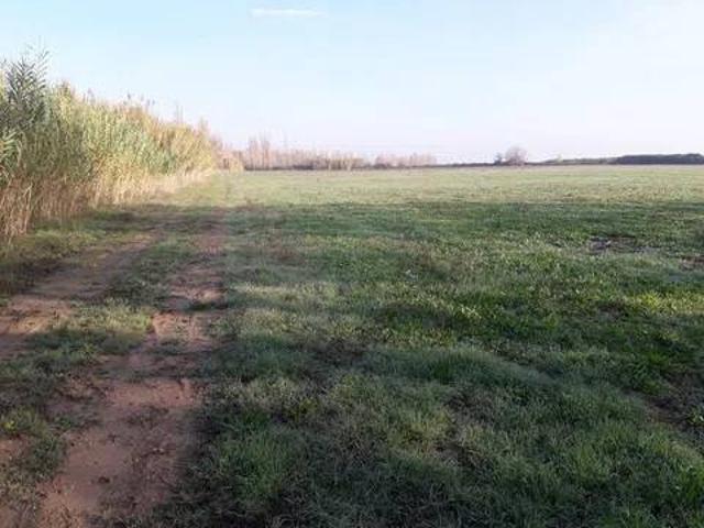 Terreno en Venta en Calera y Chozas