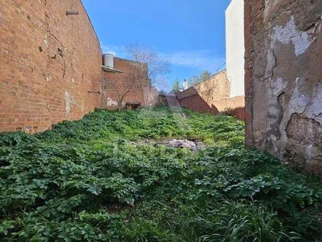 Terreno en Venta en Calera de León