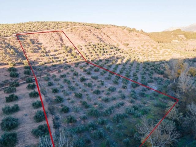 Terreno en Venta en Calicasas