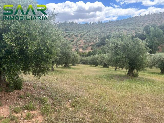 Terreno en Venta en Calicasas