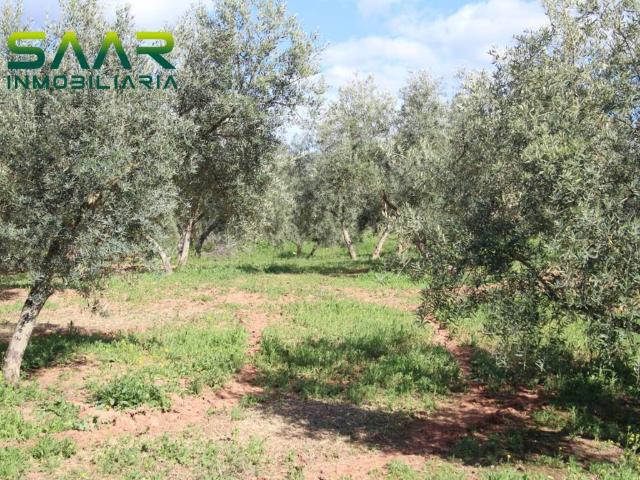 Terreno en Venta en Calicasas