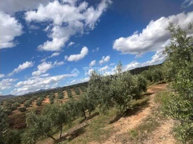 Terreno en Venta en Calicasas