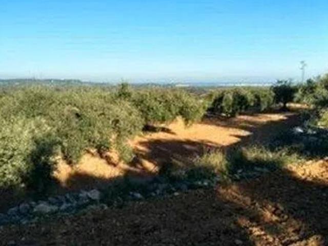 Terreno en Venta en Càlig