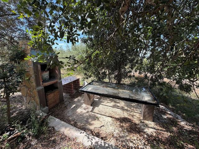 Terreno en venta en calle Mas D'en Serra, Alcanar, de 6.000 m² por 79.000
