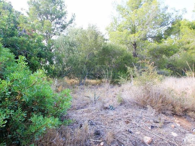 Terreno en venta en calle Masos D'en Blader, Mont Roig del Camp, de 1.760 m² por 92.300