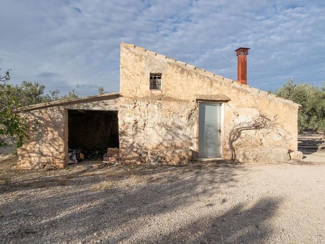 Terreno en venta en calle Matamoros, Roquetes, de 30.000 m² por 65.000
